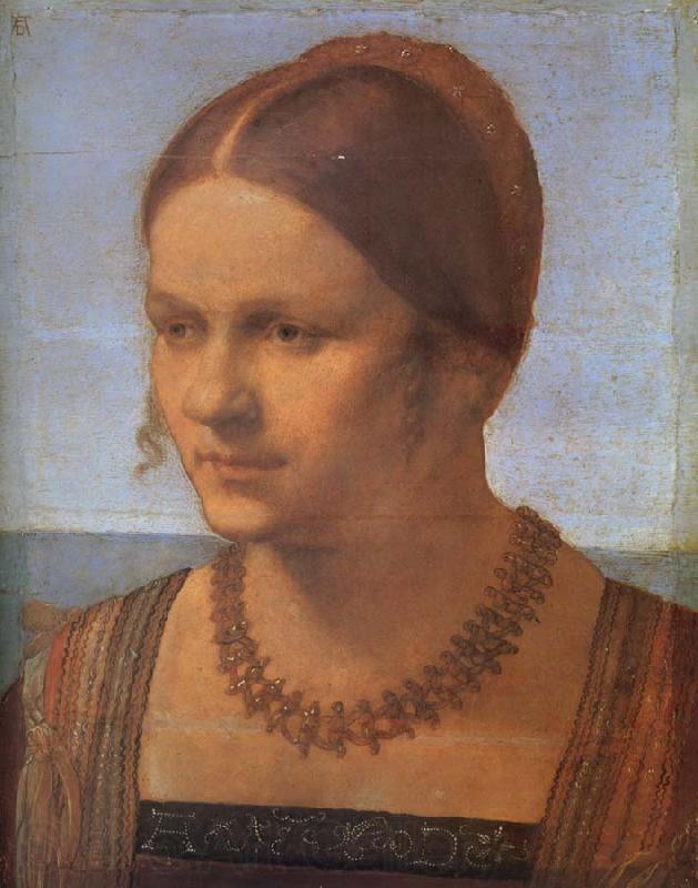 Albrecht Durer A Venetian lady